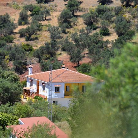 B&B Casa El Corasueno Альмохия Экстерьер фото
