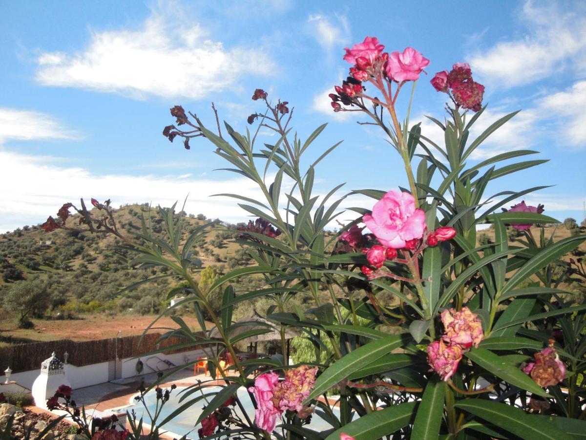 B&B Casa El Corasueno Альмохия Экстерьер фото
